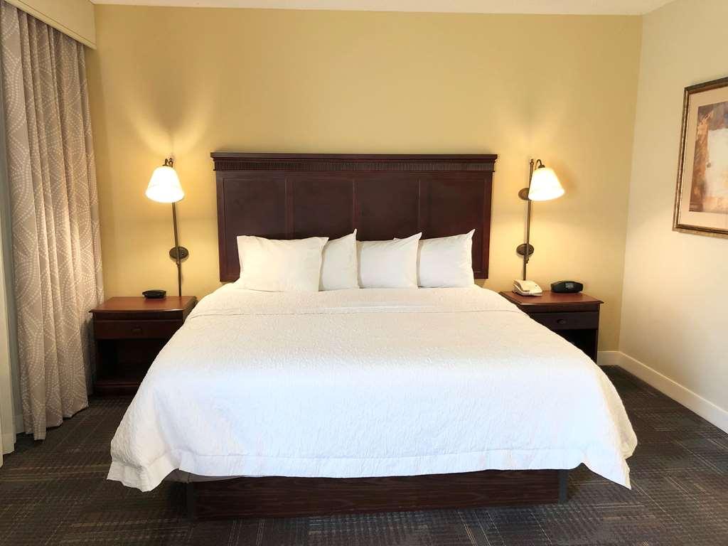 Hampton Inn & Suites Norfolk-Airport Kamer foto